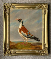 Gilt Framed Oleograph of a "Trooper Pigeon" in a Rural Landscape