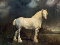 Fine Oleograph on Canvas - The White Shire Horse "Barrel" in a Landscape