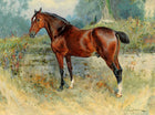 Fine Oleograph on Canvas of a Bay Horse aft. Wm Woodhouse