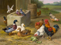 Oleograph on Canvas of Chickens & Pigeons in a Farmyard