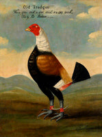 Gilt Framed Oleograph of a Game Cock "Old Trodgon"