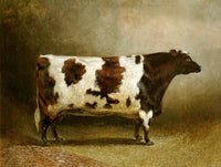 Fine Oleograph on Canvas of a Prize Heifer in a Yard