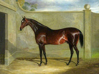 Fine Large Oleograph on Canvas - Bay Horse in a Stable Yard