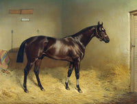 Fine Lithograph on Canvas of a Bay Horse in the Stable with Saddlecloth aft. Emil Adam