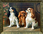 Fabulous large Mid C20th Oil on Canvas of a Trio of King Charles Cavalier Spaniels SOLD