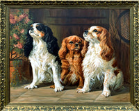 Fabulous large Mid C20th Oil on Canvas of a Trio of King Charles Cavalier Spaniels SOLD