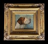 Vintage Oil on Board of a Foxhound SOLD