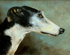 Vintage Oil on Panel of a Greyhound SOLD