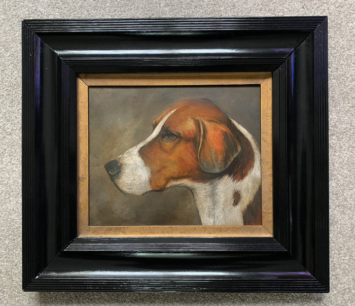 Lovely Vintage Oil on Panel of a Fox Hound 