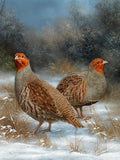 Beautiful Lithograph on Canvas of a Partridges in a Snowy Rural Landscape