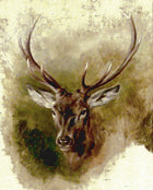 Fine Oleograph on Canvas of a Stags Head after Landseer